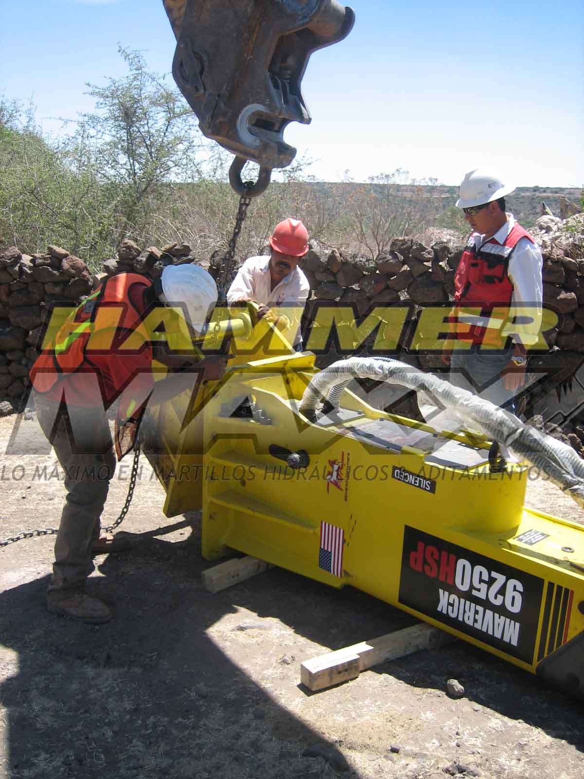 IMG 4767